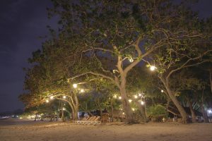 virgin-beach-resort-night