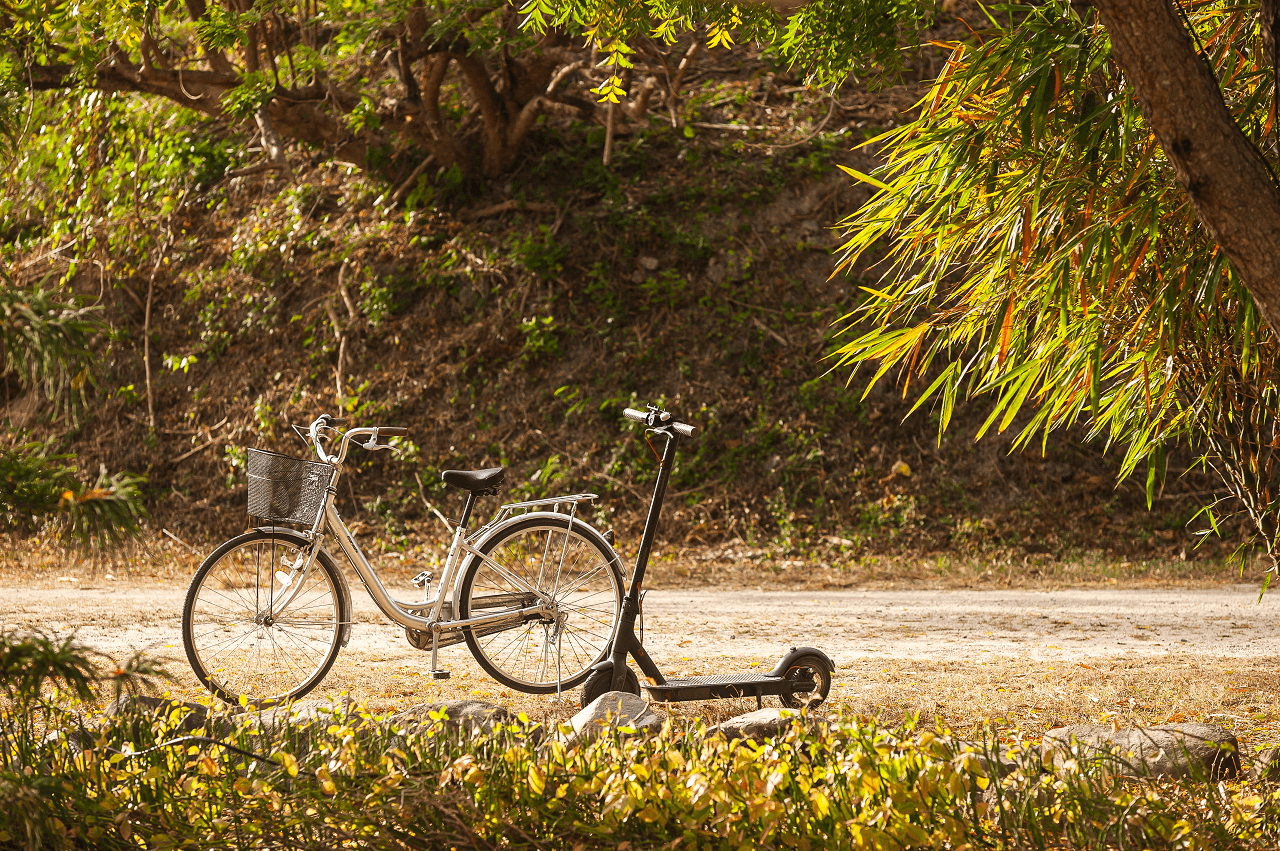 virgin-beach-resort-laiya-experiences-biking-bird-watching